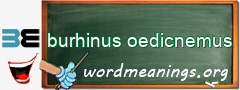 WordMeaning blackboard for burhinus oedicnemus